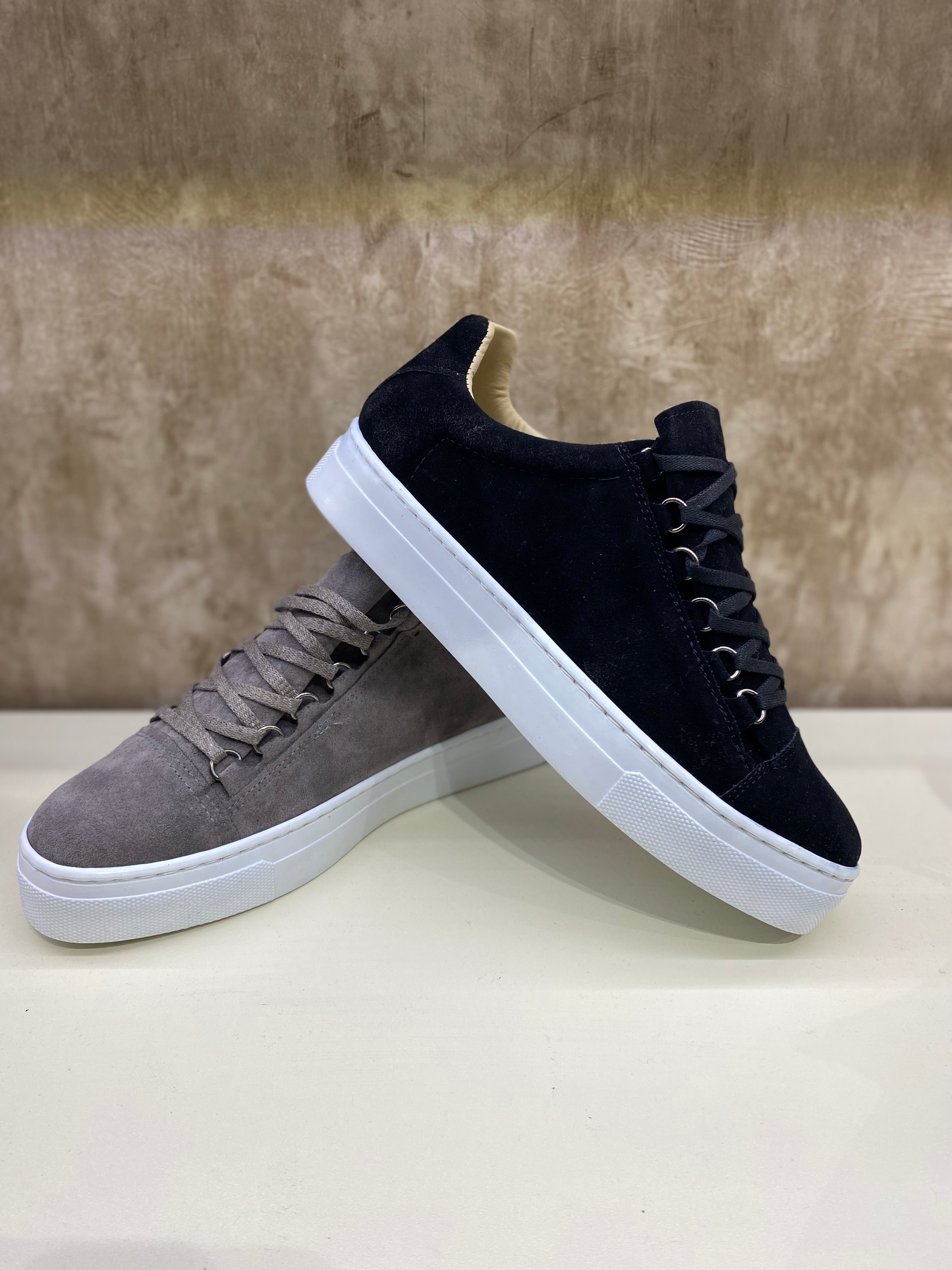 Suède Cambridge sneaker