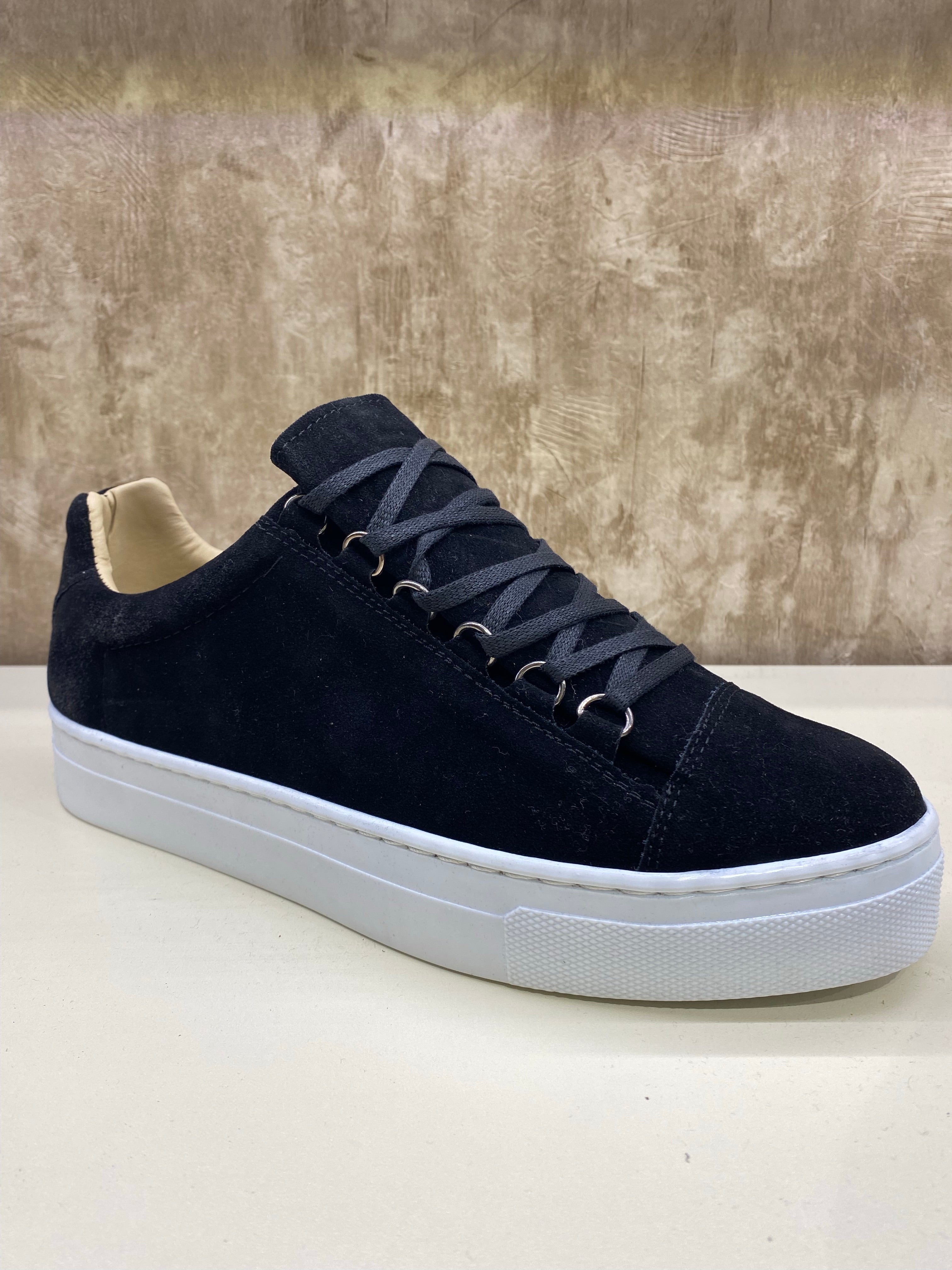 Suède Cambridge sneaker